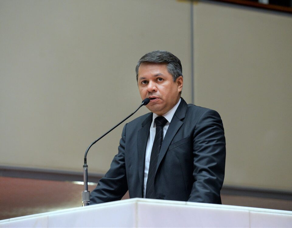 1Plenario 2 21 de maio 2019 Daniel Protzner 1